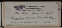 Image Associated With the Occurence